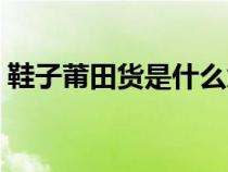鞋子莆田貨是什么意思（莆田貨是什么意思）