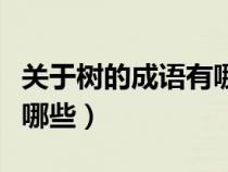 關(guān)于樹(shù)的成語(yǔ)有哪些四個(gè)字(關(guān)于樹(shù)的成語(yǔ)有哪些) 關(guān)于樹(shù)的成語(yǔ)有哪些四個(gè)字(關(guān)于樹(shù)的成語(yǔ)有哪些)