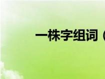一株字組詞（一株的株如何組詞）