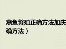 燕魚(yú)繁殖正確方法加慶大好還是鹽好請(qǐng)問(wèn)大師(燕魚(yú)繁殖正確方法) 燕魚(yú)繁殖正確方法加慶大好還是鹽好請(qǐng)問(wèn)大師(燕魚(yú)繁殖正確方法)