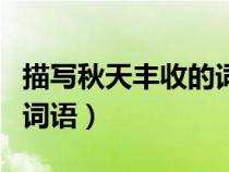 描寫秋天豐收的詞語(yǔ)有哪些（描寫秋天豐收的詞語(yǔ)）