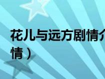 花兒與遠(yuǎn)方劇情介紹那年拍的（花兒與遠(yuǎn)方劇情）