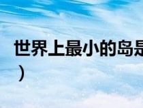 世界上最小的島是誰（世界上最小的島是什么）