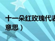 十一朵紅玫瑰代表什么意思（紅玫瑰代表什么意思）