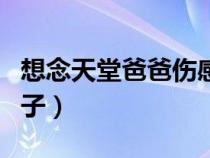 想念天堂爸爸傷感短句（對已逝父親的思念句子）