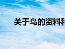 關(guān)于鳥的資料和圖片（關(guān)于鳥的資料）