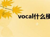 vocal什么梗（章口就萊什么梗）