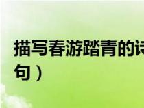 描寫春游踏青的詩句古詩（描寫春游踏青的詩句）