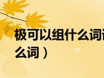 極可以組什么詞語 二年級上冊（極可以組什么詞）