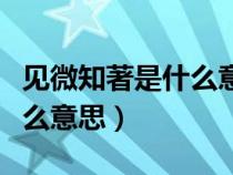 見微知著是什么意思解釋一下（見微知著是什么意思）