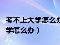 考不上大學(xué)怎么辦可以上什么學(xué)校(考不上大學(xué)怎么辦) 考不上大學(xué)怎么辦可以上什么學(xué)校(考不上大學(xué)怎么辦)
