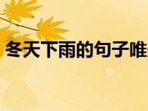 冬天下雨的句子唯美描寫（冬天下雨的句子）