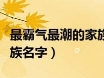 最霸氣最潮的家族名字格式（最霸氣最潮的家族名字）