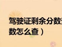 駕駛證剩余分數(shù)查詢?yōu)?1分（駕駛證剩余分數(shù)怎么查）