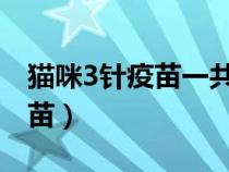 貓咪3針疫苗一共多少元（貓咪需要打哪些疫苗）