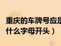 重慶的車牌號(hào)應(yīng)是什么開頭（重慶車牌分別是什么字母開頭）