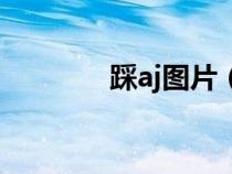 踩aj圖片（踩aj是什么意思）