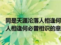 同是天涯淪落人相逢何必曾相識(shí)是什么意思（同是天涯淪落人相逢何必曾相識(shí)的意思）