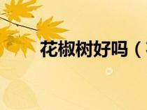 花椒樹好嗎（花椒樹有什么禁忌嗎）