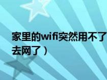 家里的wifi突然用不了了是怎么回事（家里的wifi突然上不去網(wǎng)了）