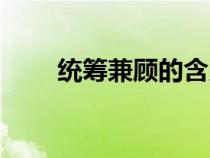 統(tǒng)籌兼顧的含義（統(tǒng)籌兼顧的意思）