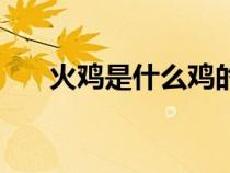 火雞是什么雞的圖片（火雞是什么雞）