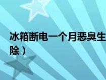 冰箱斷電一個(gè)月惡臭生蛆怎么辦（冰箱停電肉腐臭味怎么去除）