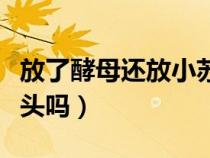 放了酵母還放小蘇打嗎（小蘇打可以發(fā)面蒸饅頭嗎）