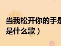 當我松開你的手是什么歌曲（當我松開你的手是什么歌）