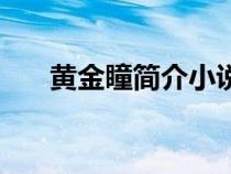 黃金瞳簡介小說（黃金瞳的作品簡介）
