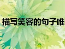 描寫笑容的句子唯美簡短（描寫笑容的句子）