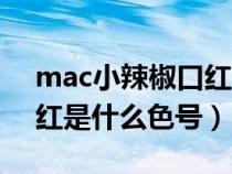 mac小辣椒口紅是什么顏色（mac小辣椒口紅是什么色號）