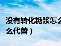 沒有轉(zhuǎn)化糖漿怎么辦（沒有轉(zhuǎn)化糖漿可以用什么代替）