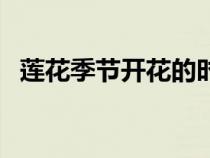 蓮花季節(jié)開(kāi)花的時(shí)間(蓮花哪個(gè)時(shí)候開(kāi)花) 蓮花季節(jié)開(kāi)花的時(shí)間(蓮花哪個(gè)時(shí)候開(kāi)花)