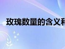 玫瑰數(shù)量的含義和象征（玫瑰數(shù)量的含義）