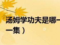 湯姆學(xué)功夫是哪一集出現(xiàn)的(湯姆學(xué)功夫是哪一集) 湯姆學(xué)功夫是哪一集出現(xiàn)的(湯姆學(xué)功夫是哪一集)