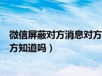 微信屏蔽對(duì)方消息對(duì)方知道嗎朋友圈（微信屏蔽對(duì)方消息對(duì)方知道嗎）