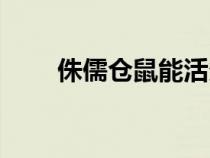 侏儒倉(cāng)鼠能活多久（倉(cāng)鼠能活多久）