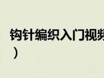 鉤針編織入門視頻教程（鉤針編織教程初學(xué)者）