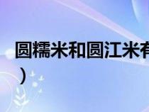 圓糯米和圓江米有什么區(qū)別（圓江米是糯米嗎）