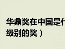 華鼎獎在中國是什么級別重量（華鼎獎是什么級別的獎）