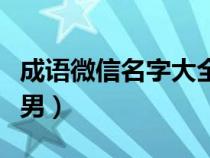 成語微信名字大全男霸氣（成語微信名字大全男）