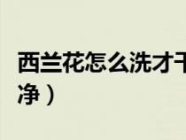 西蘭花怎么洗才干凈農(nóng)藥（西蘭花怎么洗才干凈）