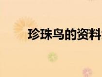 珍珠鳥的資料大全（珍珠鳥的資料）