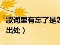歌詞里有忘了是怎么開始（忘了是怎么開始的出處）