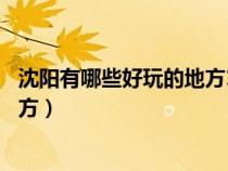 沈陽有哪些好玩的地方11歲以上玩的（沈陽有哪些好玩的地方）