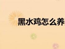 黑水雞怎么養(yǎng)活(黑水雞養(yǎng)殖方法) 黑水雞怎么養(yǎng)活(黑水雞養(yǎng)殖方法)