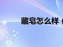 藏皂怎么樣（藏皂怎么辨別真假）