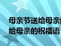 母親節(jié)送給母親的祝福語20@字（母親節(jié)送給母親的祝福語）