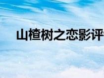 山楂樹之戀影評鏡頭（山楂樹之戀影評）